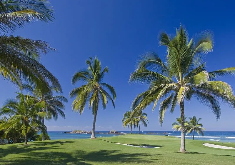 Punta Mita Golf Club ocean hole with Pacific surf beside the green