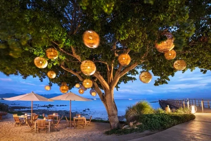 Punta Mita in February: Weather, Whales & Resorts