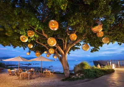 Punta Mita, Mexico: Must-See Attractions and Luxurious Stays