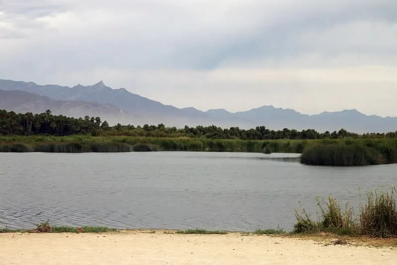 San Jose del Cabo estuary and nature area during a January Baja trip