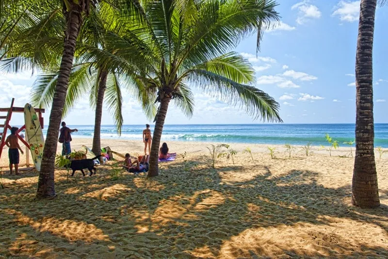 Broad San Pancho beach at sunset with Pacific waves and palm-lined sand