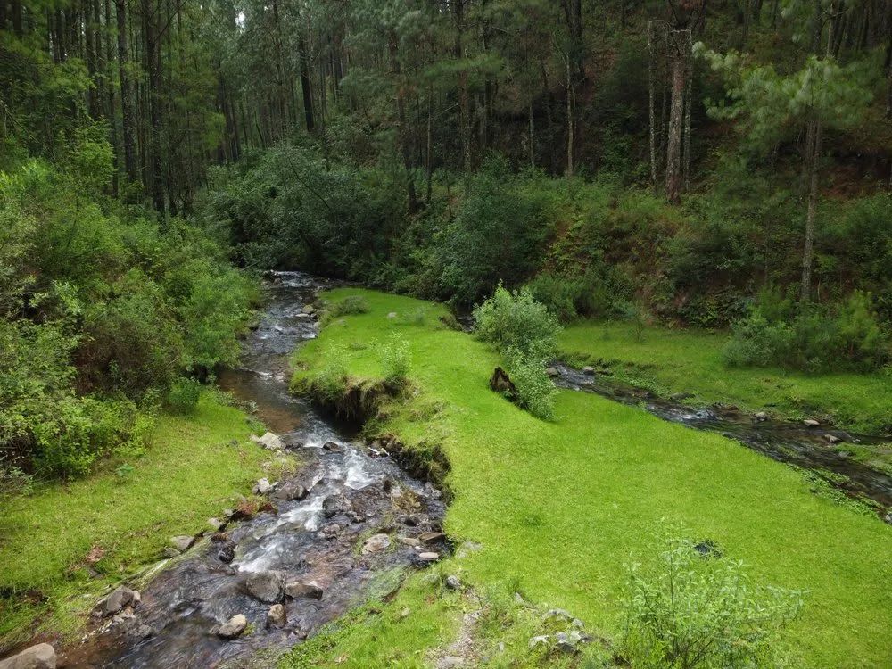 Pine-covered mountains and cool highland scenery near Los Azufres