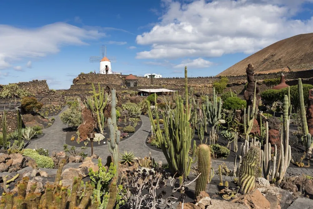 Cactus garden beside the Avenue of the Dead at Teotihuacan archaeological zone