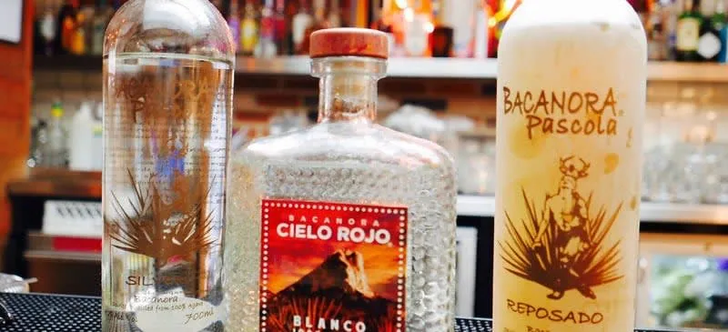 Glass of bacanora spirit from Sonora, Mexico, next to a bottle showing the Sonora state seal