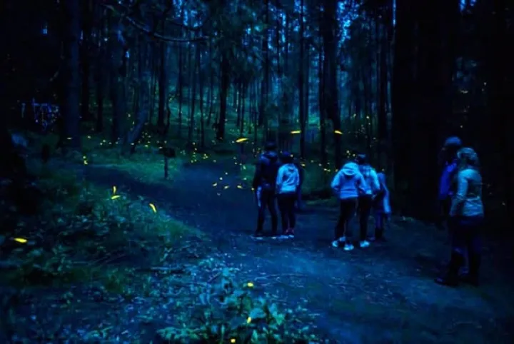 Tlaxcala in August: Fireflies, Feria & Rain