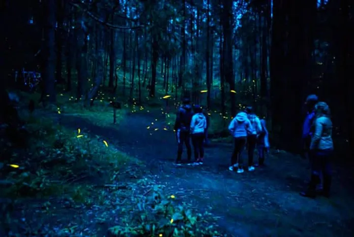 Tlaxcala in June: Weather, Fireflies & Travel Tips