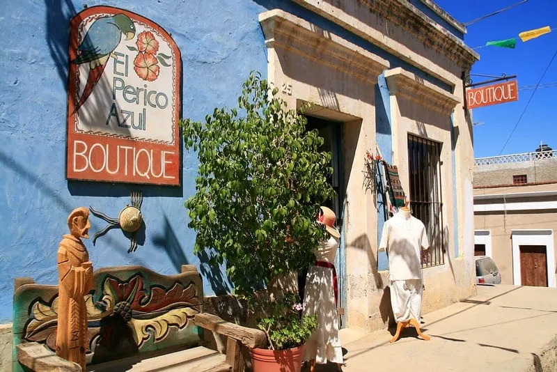 Desert plants and colorful storefronts along a sunlit street in Todos Santos