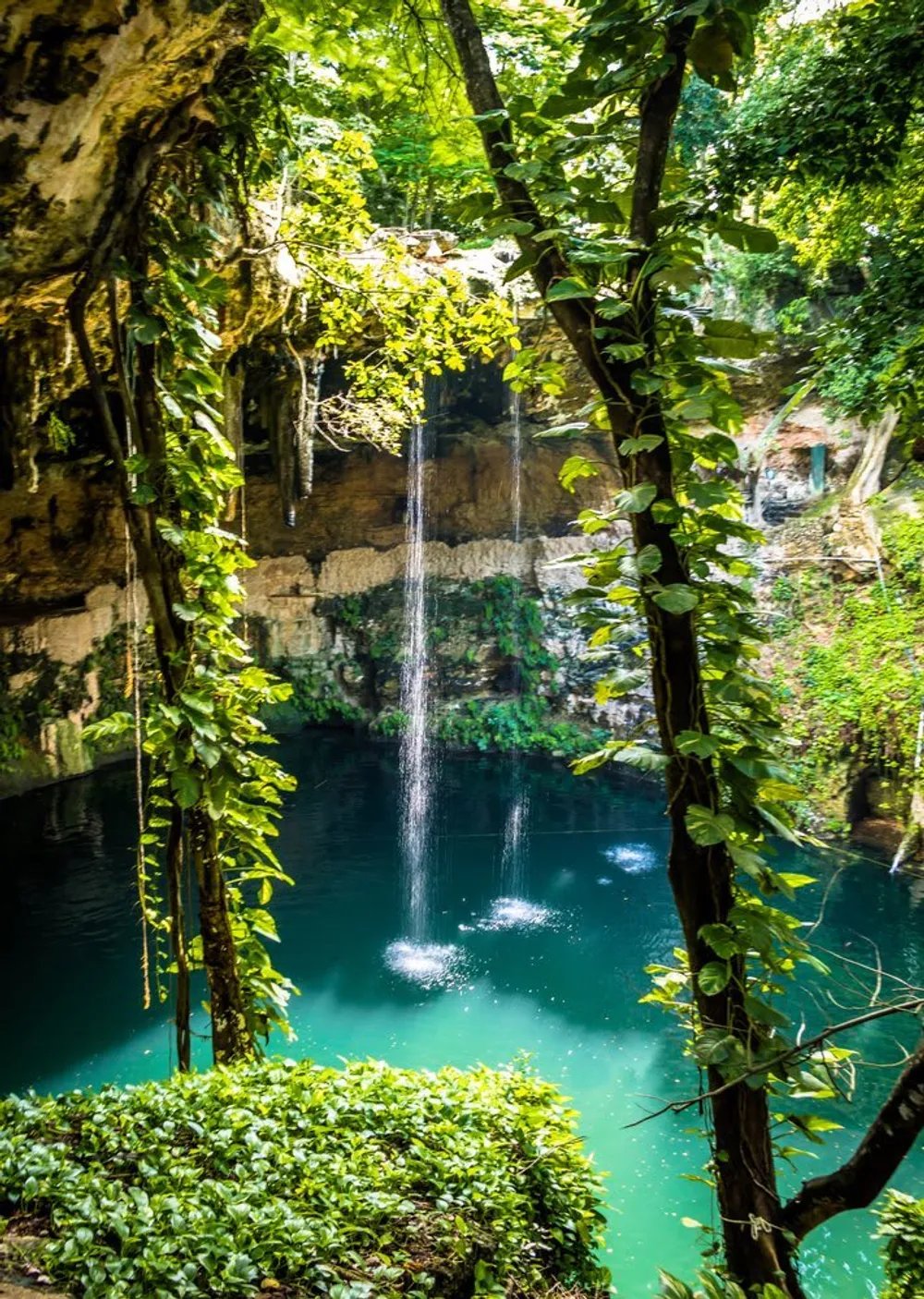 Cenote Zací open-air sinkhole in Valladolid city center, Yucatán