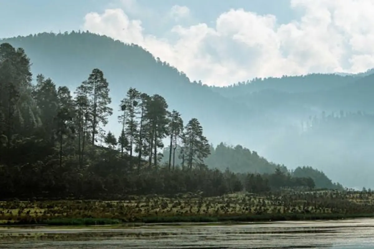 Valle de Bravo in February: Weather, Monarchs & Tips
