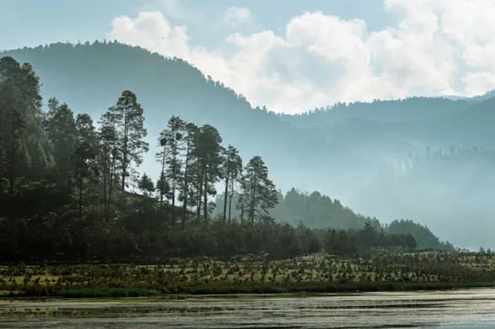 Valle de Bravo in February: Weather, Monarchs & Tips