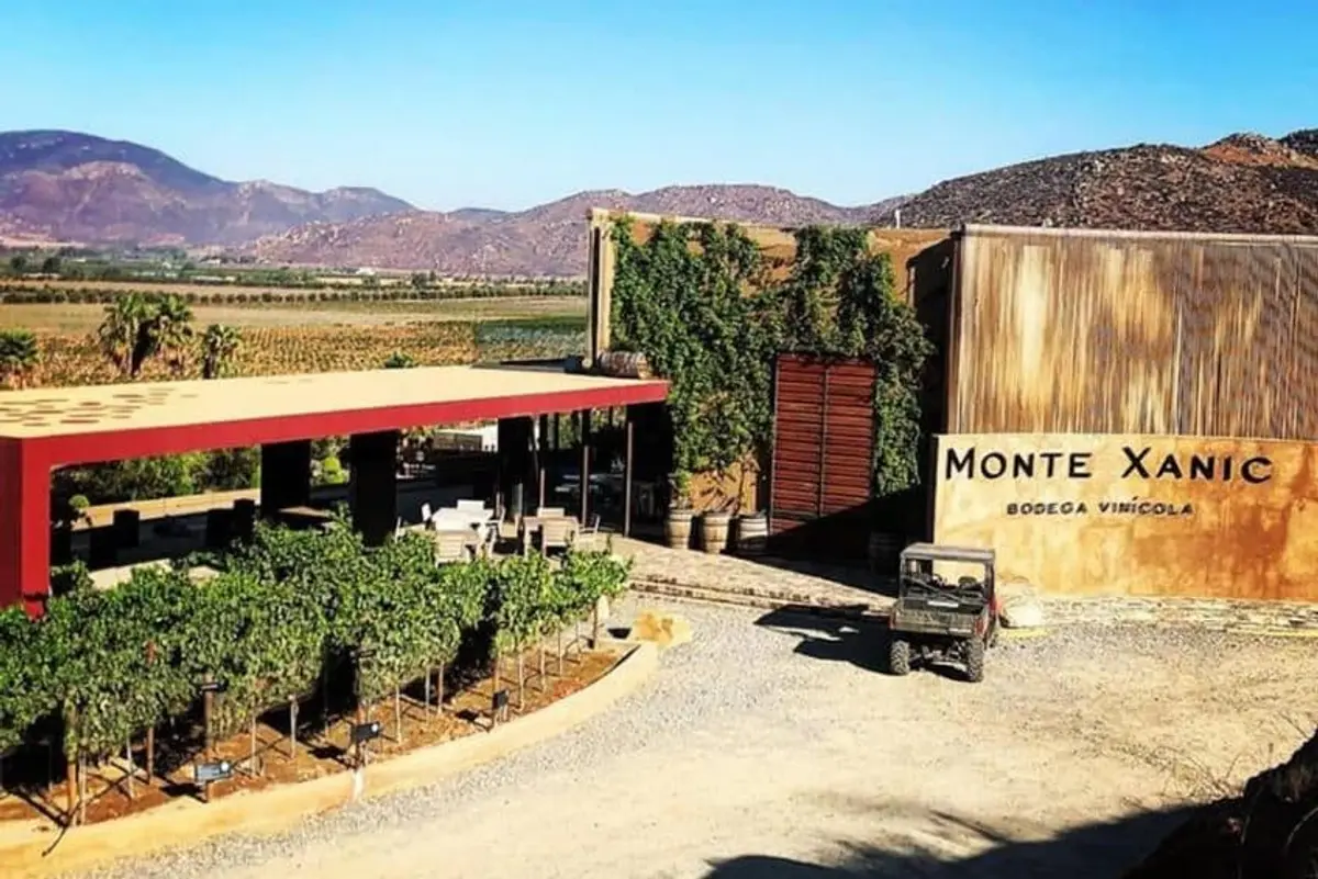 Valle de Guadalupe in October: Wine, Weather & Tips