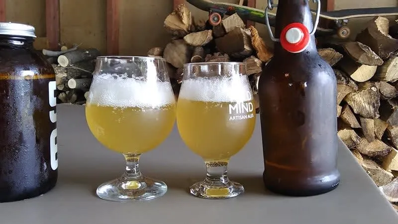 Cold glass of tepache served with pineapple and spices