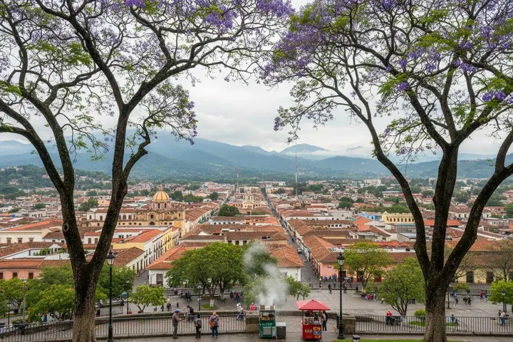 Xalapa in March: Weather, Coffee & Travel Tips