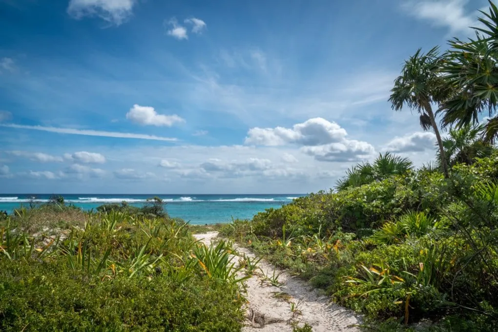 Xcacel Beach’s Hidden Treasure: The Stunning Cenote Within