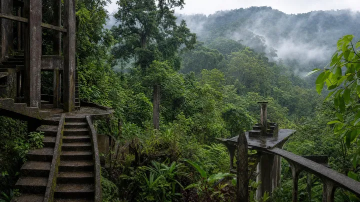 Xilitla in December: Las Pozas Holiday Season Guide