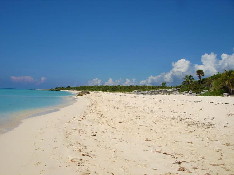 5th avenue playa del carmen