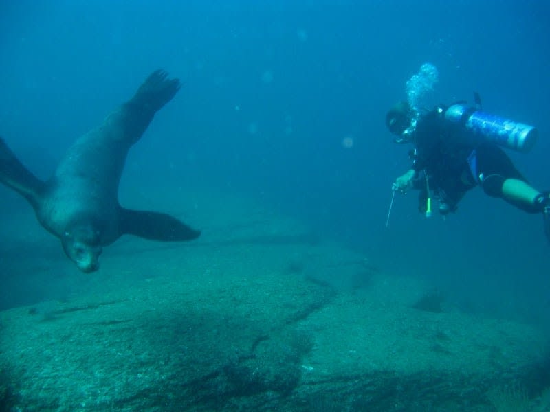 scuba diving