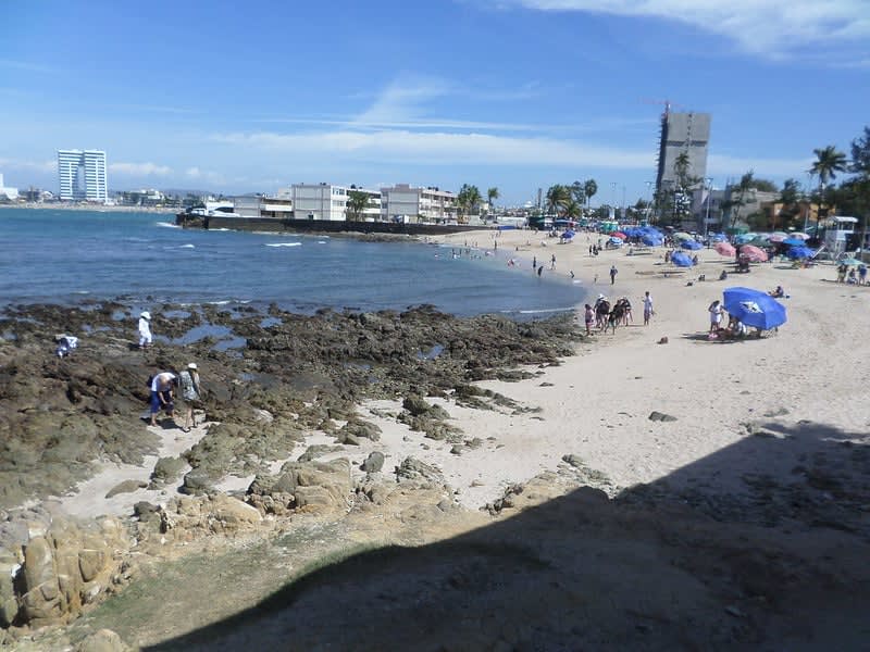 los pinitos beach