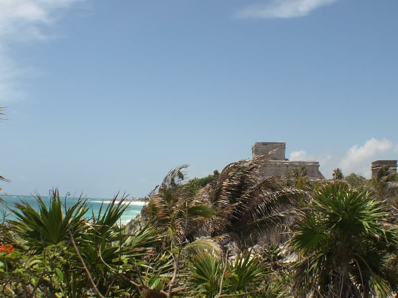 best excursions riviera maya