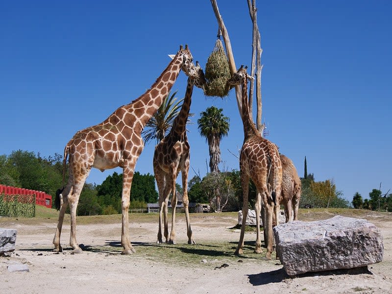 best family vacations in mexico