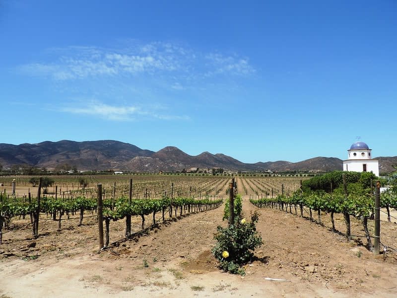 adobe guadalupe