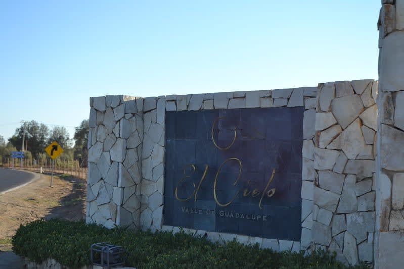 best hotels in valle de guadalupe