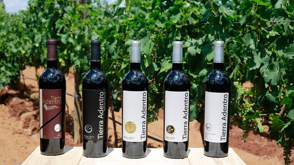best mexican wines