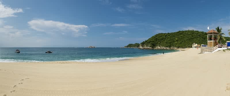 bahia chahue