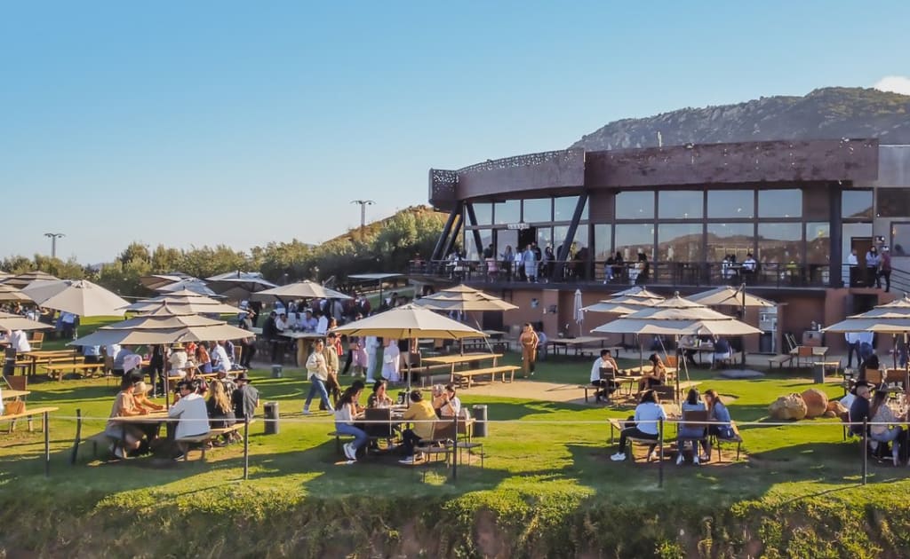 decantos winery