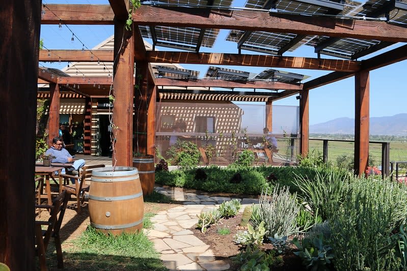 best wineries valle de guadalupe