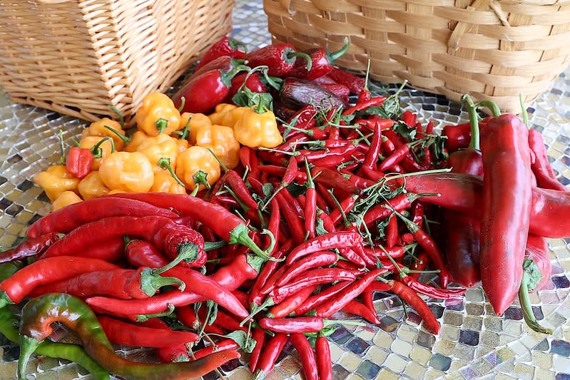 mexican chiles