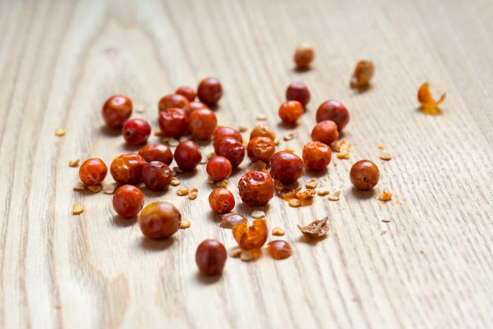 chiltepin peppers