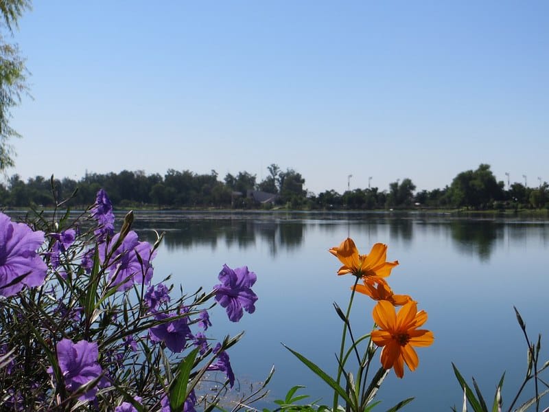 Náinari Lagoon in Ciudad Obregón during an August evening stop