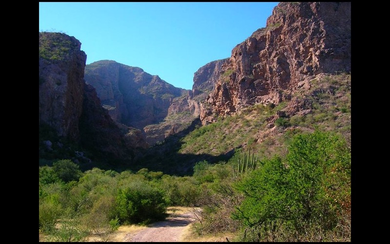 Nacapule Canyon palms and red rock outside San Carlos during a January Sonora coast trip