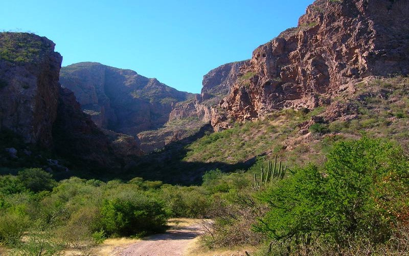 Nacapule Canyon palms and red rock outside San Carlos during a November Sonora coast trip