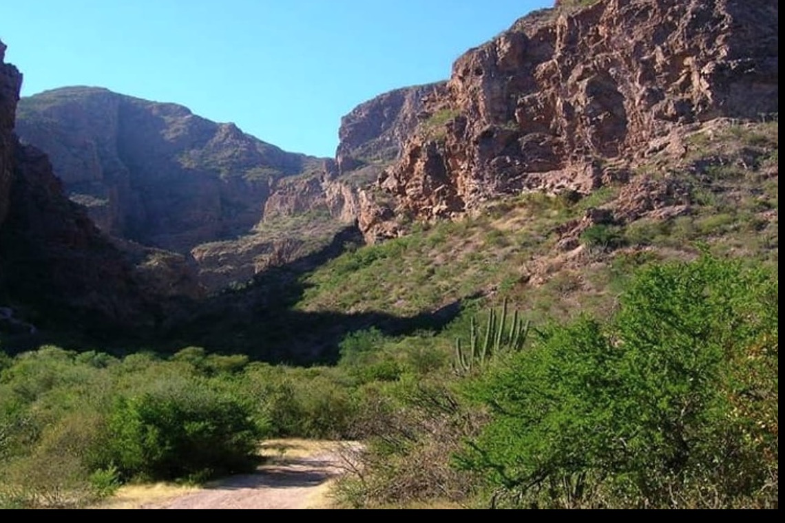 Nacapule Canyon palms and red rock outside San Carlos during an October Sonora coast trip