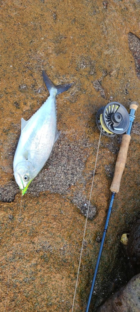 fishing in baja