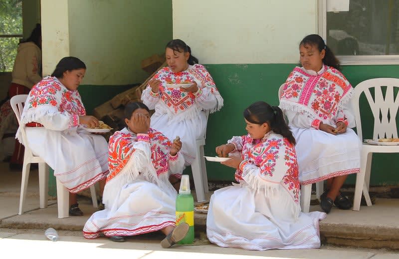indigenous groups in mexico