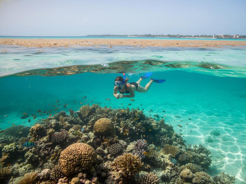 Snorkeler in clear water near Isla Mujeres reef