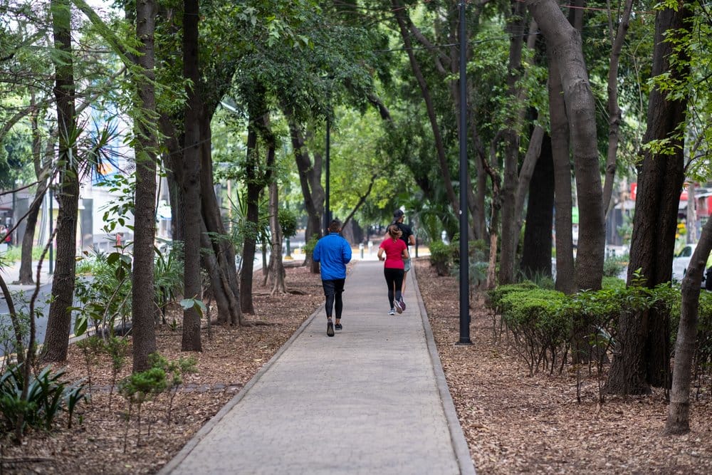 la condesa mexico city
