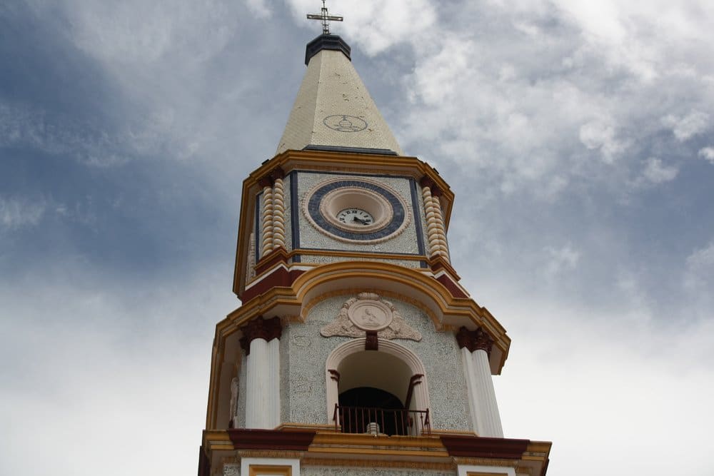 mascota jalisco