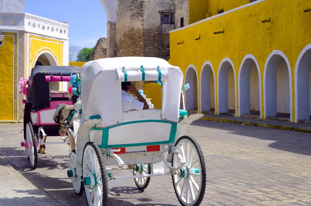 vamonos to mexico