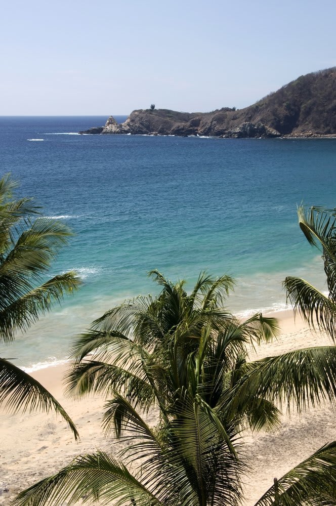 mazunte oaxaca