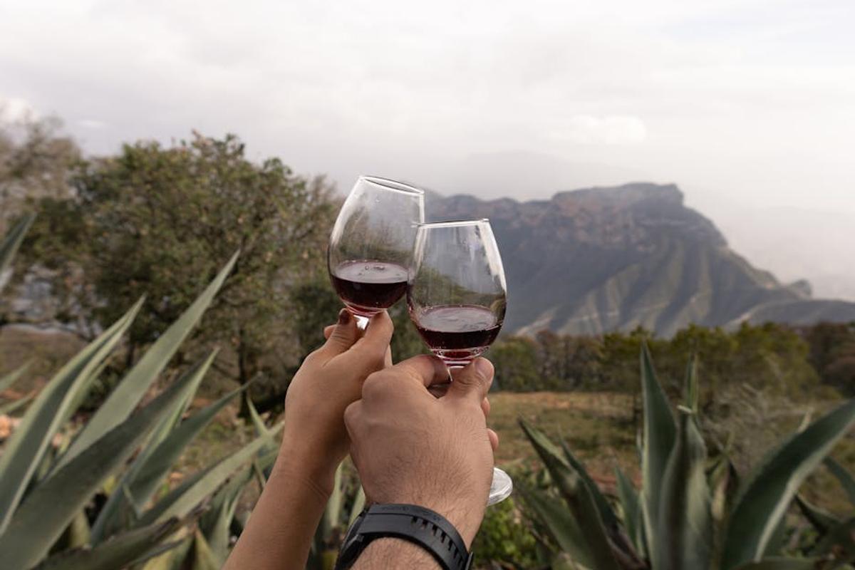 A colorful spread of traditional Mexican drinks including tequila, aguas frescas, and mezcal on a rustic table