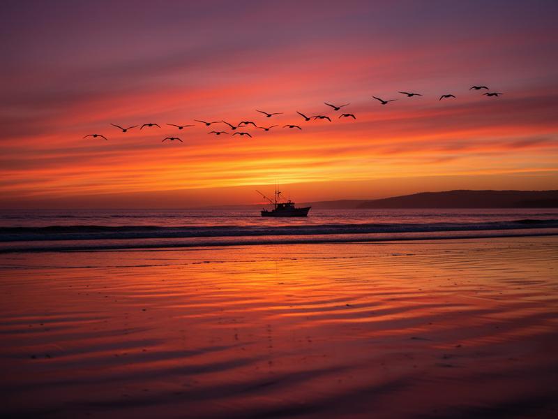 Spectacular Mexican Pacific coast sunset with vibrant orange and pink colors reflecting on calm ocean water