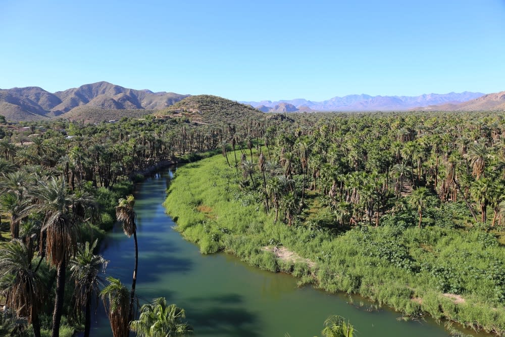 mulege mexico