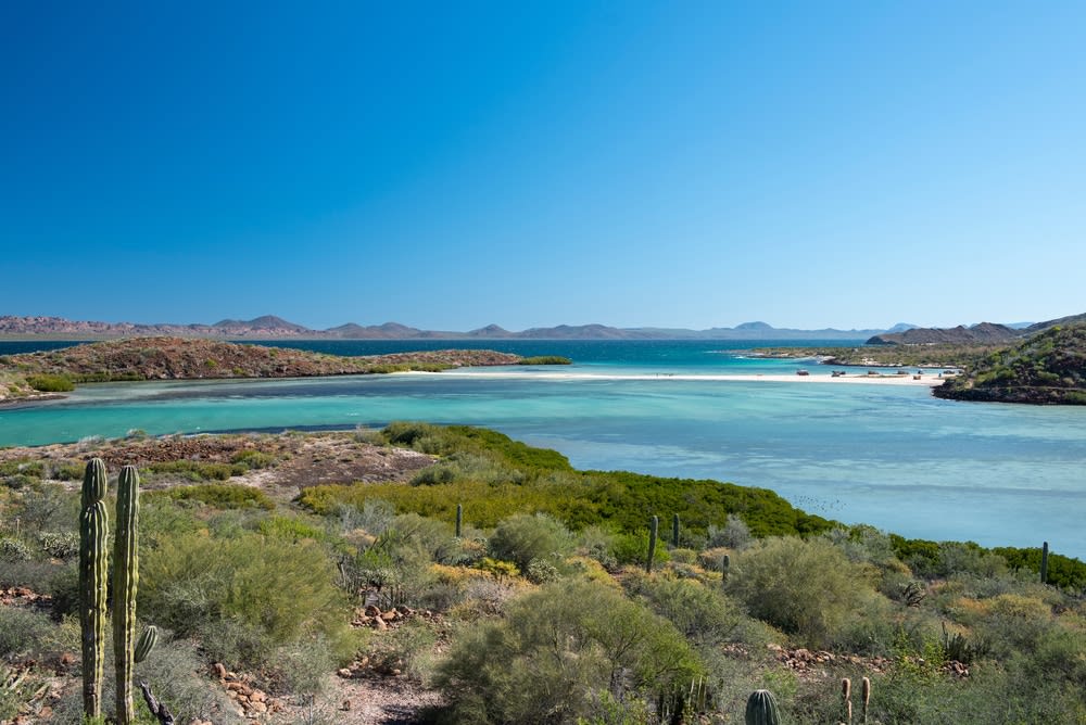 mulege mexico