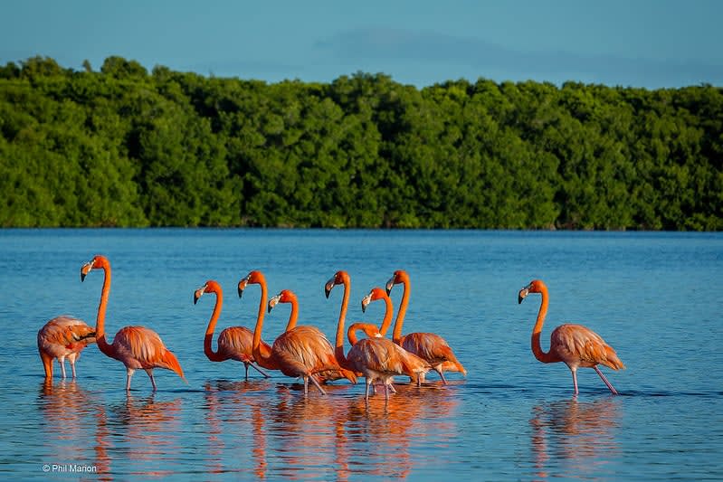 national parks in mexico