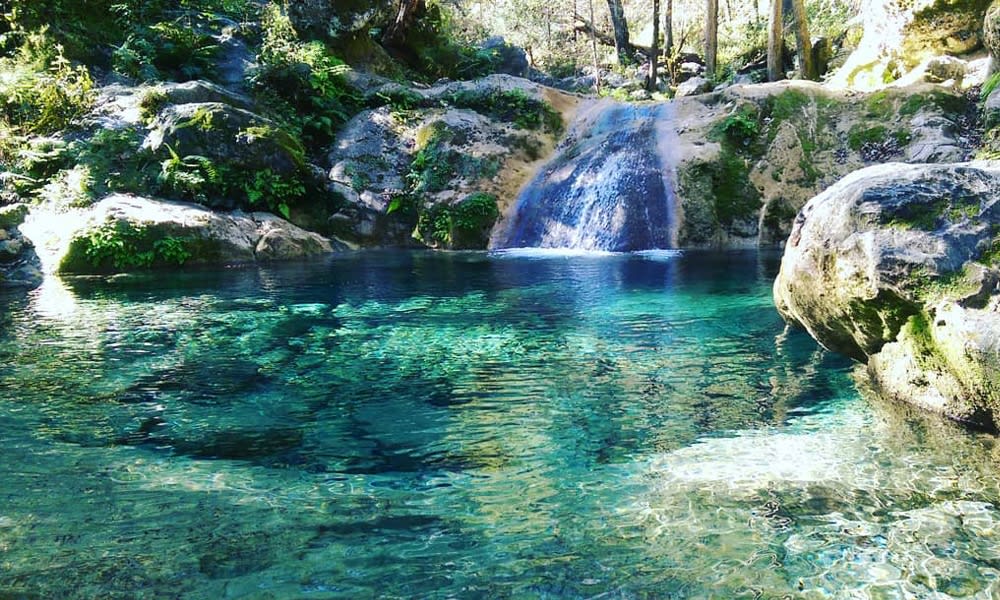 nuevo leon mexico