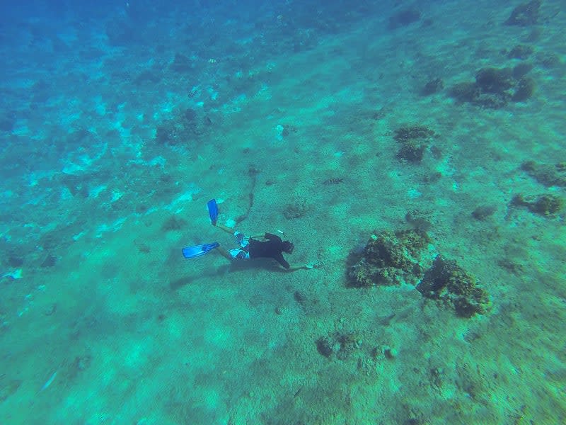 mexico travel and leisure